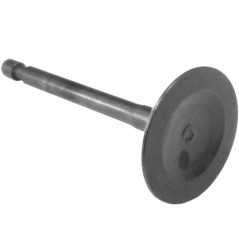 Stihl Einlassventil 42820251801 | NewgardenParts.com