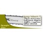 Spranga 3/8"P-1,3 Rollomatic E 40 cm ORIGINALE STIHL - 3003-000-6313