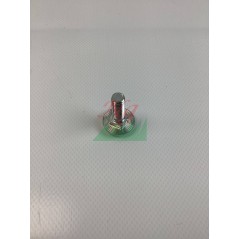 Vis MTD ORIGINALE 710-04998 | NewgardenParts.com