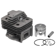 PROGREEN kompletter Zylinder - 058924 | NewgardenParts.com