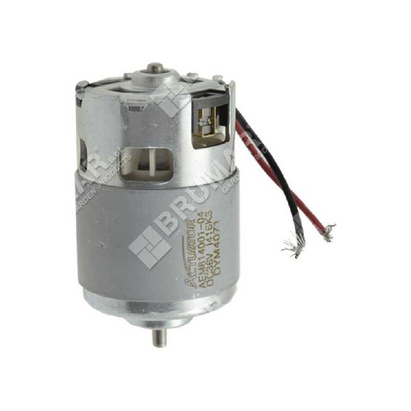 Motore elettrico PROGREEN - 048789