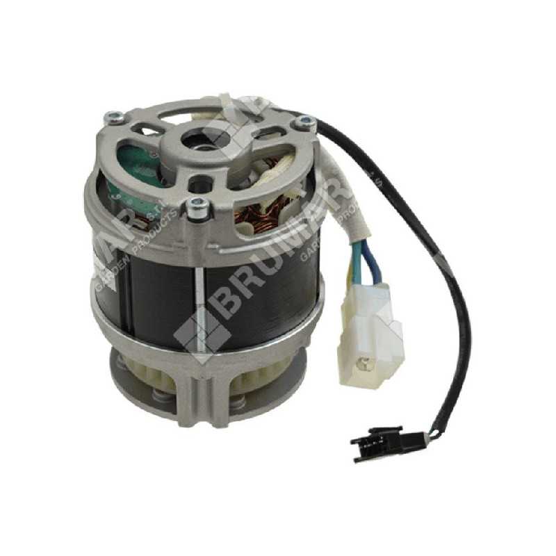 Motor eléctrico PROGREEN - 048708