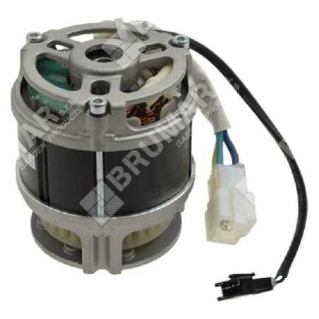 Motor eléctrico PROGREEN - 048708 | NewgardenParts.com