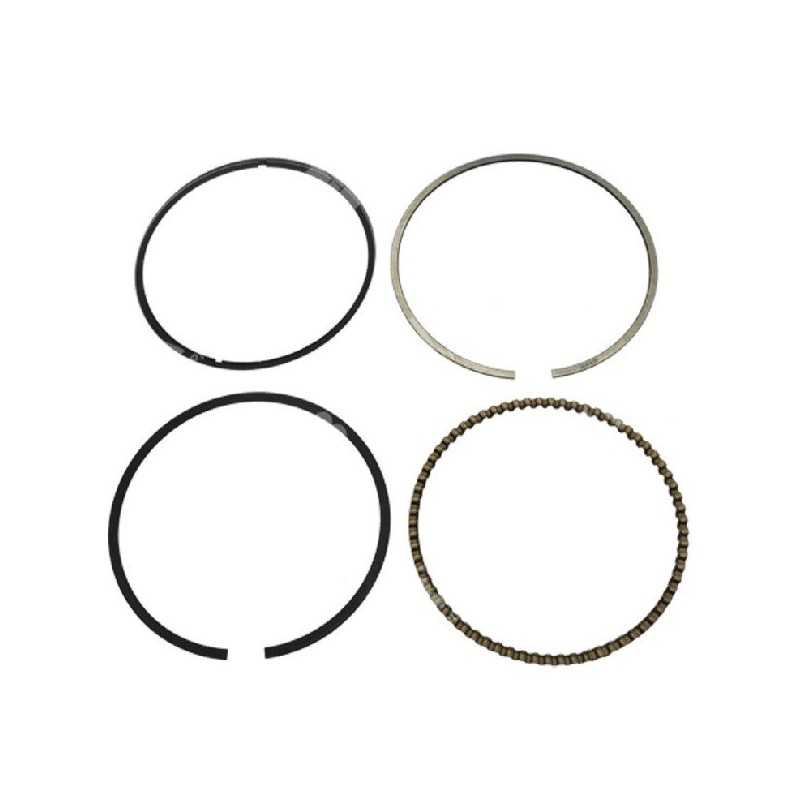 Kit Segmenti PROGREEN - 046658