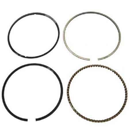 PROGREEN Segment Kit - 046658 | NewgardenParts.com