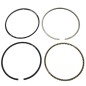PROGREEN Segment Kit - 046658