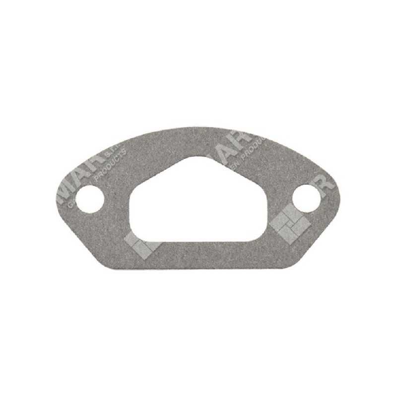 PROGREEN manifold gasket - 054832