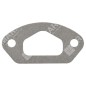PROGREEN manifold gasket - 054832