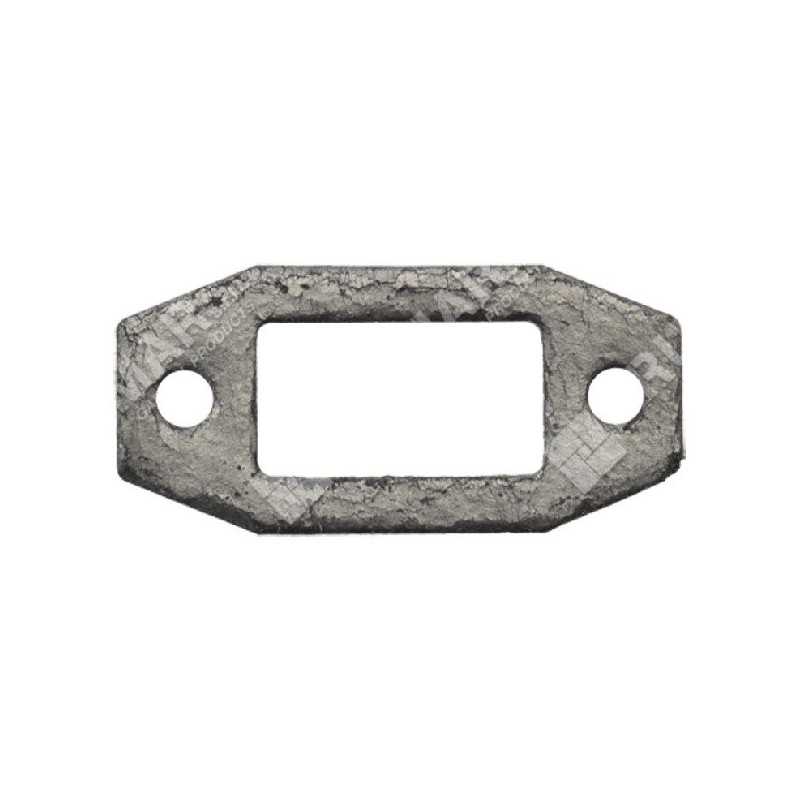 PROGREEN muffler gasket - 054813