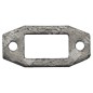 PROGREEN muffler gasket - 054813