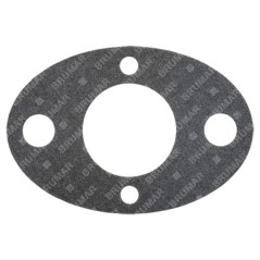 PROGREEN carburettor gasket - 054667 | NewgardenParts.com