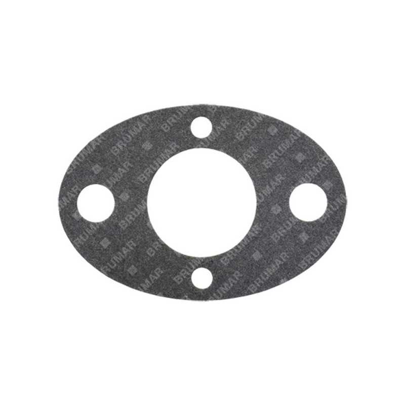 PROGREEN carburettor gasket - 054667