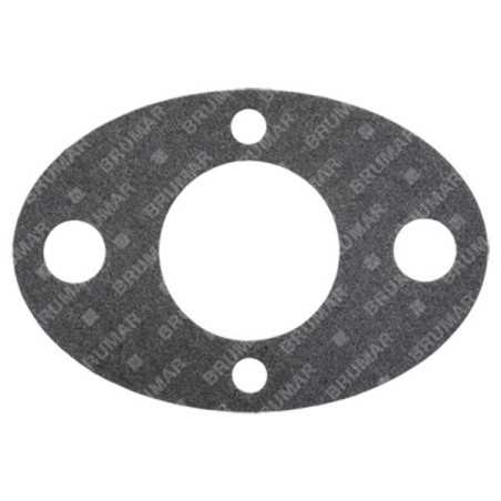 Guarnizione carburatore PROGREEN - 054667 | NewgardenParts.com