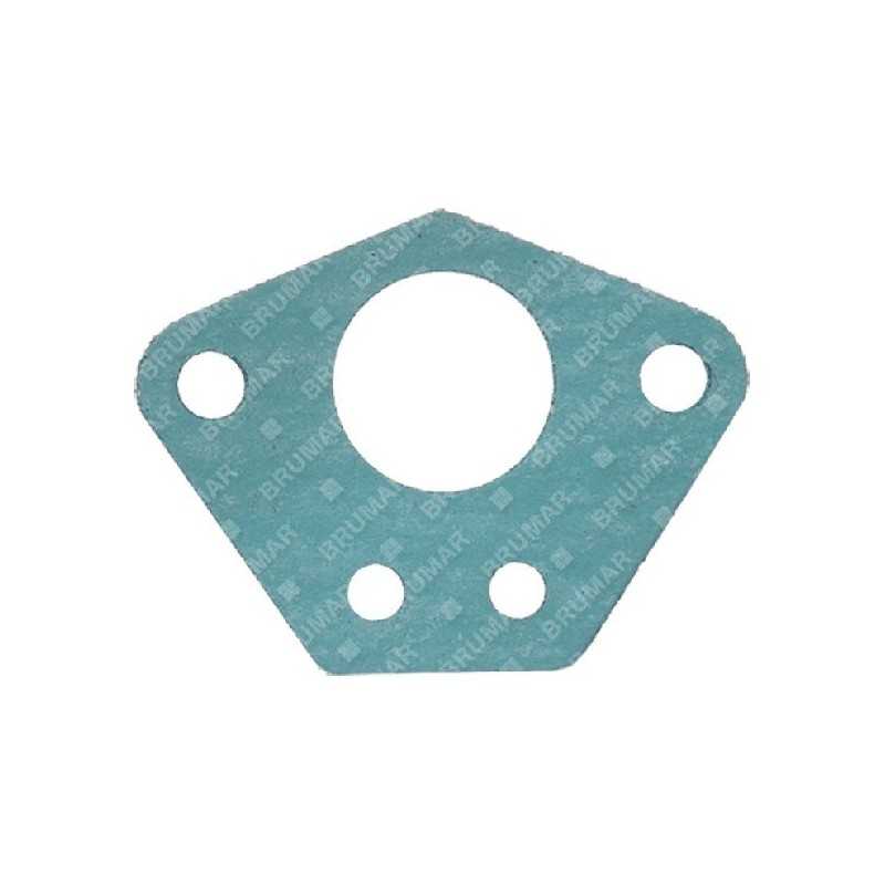 PROGREEN carburettor gasket - 054036