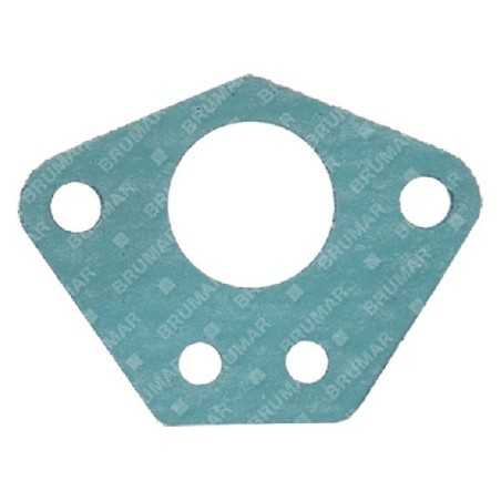 Guarnizione carburatore PROGREEN - 054036 | NewgardenParts.com