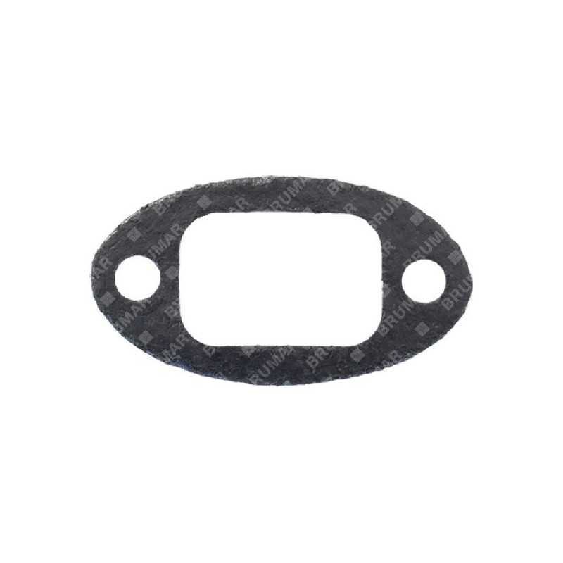 PROGREEN muffler gasket - 054139