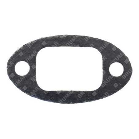 Guarnizione marmitta PROGREEN - 054139 | NewgardenParts.com