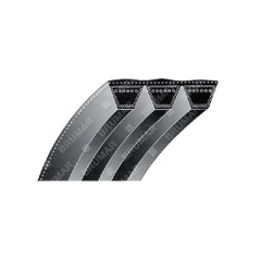 Correa para motoazadas PROGREEN - 035369 | NewgardenParts.com