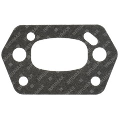 Junta de brida térmica PROGREEN - 054664 | NewgardenParts.com