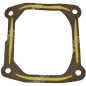 Joint pour motobineuses PROGREEN - 046681