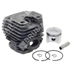 Complete cylinder for PROGREEN chainsaws - 054909 | NewgardenParts.com