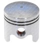 Complete piston for PROGREEN multitool - 054079