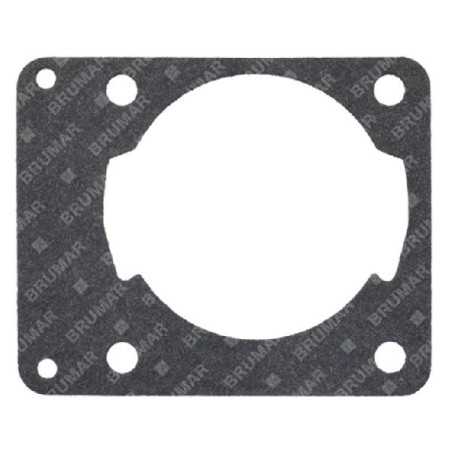 Zylinderdichtung für PROGREEN-Kettensägen – 054647 | NewgardenParts.com