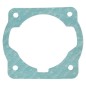 Cylinder gasket for PROGREEN multitool - 054026