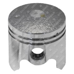 Complete piston for PROGREEN engines - 058926 | NewgardenParts.com