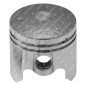 Complete piston for PROGREEN engines - 058926