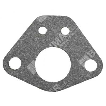 Guarnizione carburatore per decespugliatori PROGREEN - 030764 | NewgardenParts.com