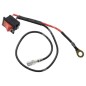 Switch for PROGREEN chainsaws - 054894