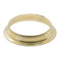 Anello guida collettore per motoseghe PROGREEN COMPATIBILE - 054838