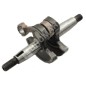 PROGREEN crankshaft - 025071