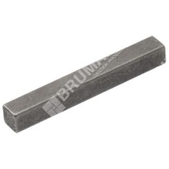 Key for PROGREEN motor hoes - 050520 | NewgardenParts.com