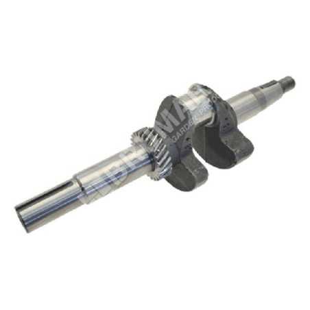 Kurbelwelle für PROGREEN Motorhacken - 046674 | NewgardenParts.com