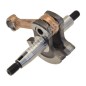 Crankshaft for PROGREEN brushcutters - 046651