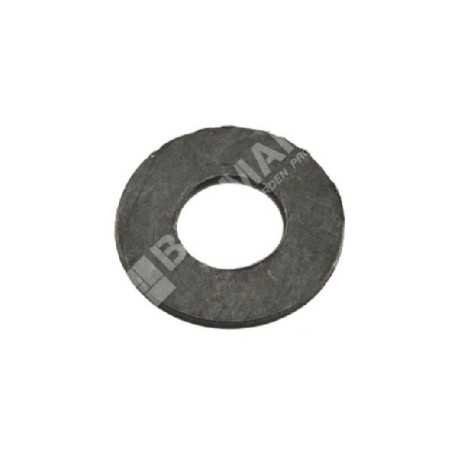Kupplungsscheibe für PROGREEN Multitool – 029234 | NewgardenParts.com