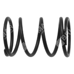 Valve spring for PROGREEN motor hoes - 046667 | NewgardenParts.com