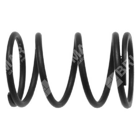 Valve spring for PROGREEN motor hoes - 046667 | NewgardenParts.com