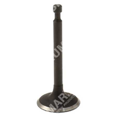 Einlassventil für PROGREEN Motorhacken - 050829 | NewgardenParts.com