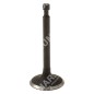 Intake valve for PROGREEN motor hoes - 050829