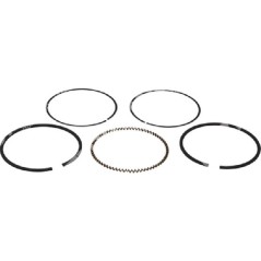 Kit de segments PROGREEN 70 mm - 050811