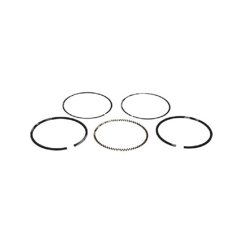 Kit de segments PROGREEN 70 mm - 050811 Kit de segments PROGREEN 70 mm - 050811
