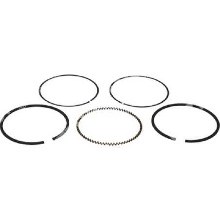 PROGREEN Segment Kit 70 mm - 050811 | NewgardenParts.com