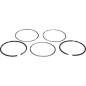 Kit de segments PROGREEN 70 mm - 050811 Kit de segments PROGREEN 70 mm - 050811