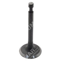 Intake and exhaust valve kit for PROGREEN engines - 046664 | NewgardenParts.com