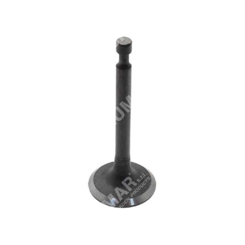 Intake and exhaust valve kit for PROGREEN engines - 046664
