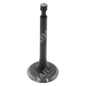 Intake and exhaust valve kit for PROGREEN engines - 046664