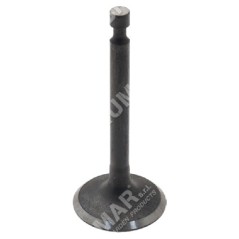 Intake and exhaust valve kit for PROGREEN engines - 046663 | NewgardenParts.com
